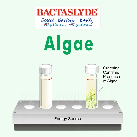 BS125 Bactaslyde microbiological test kit